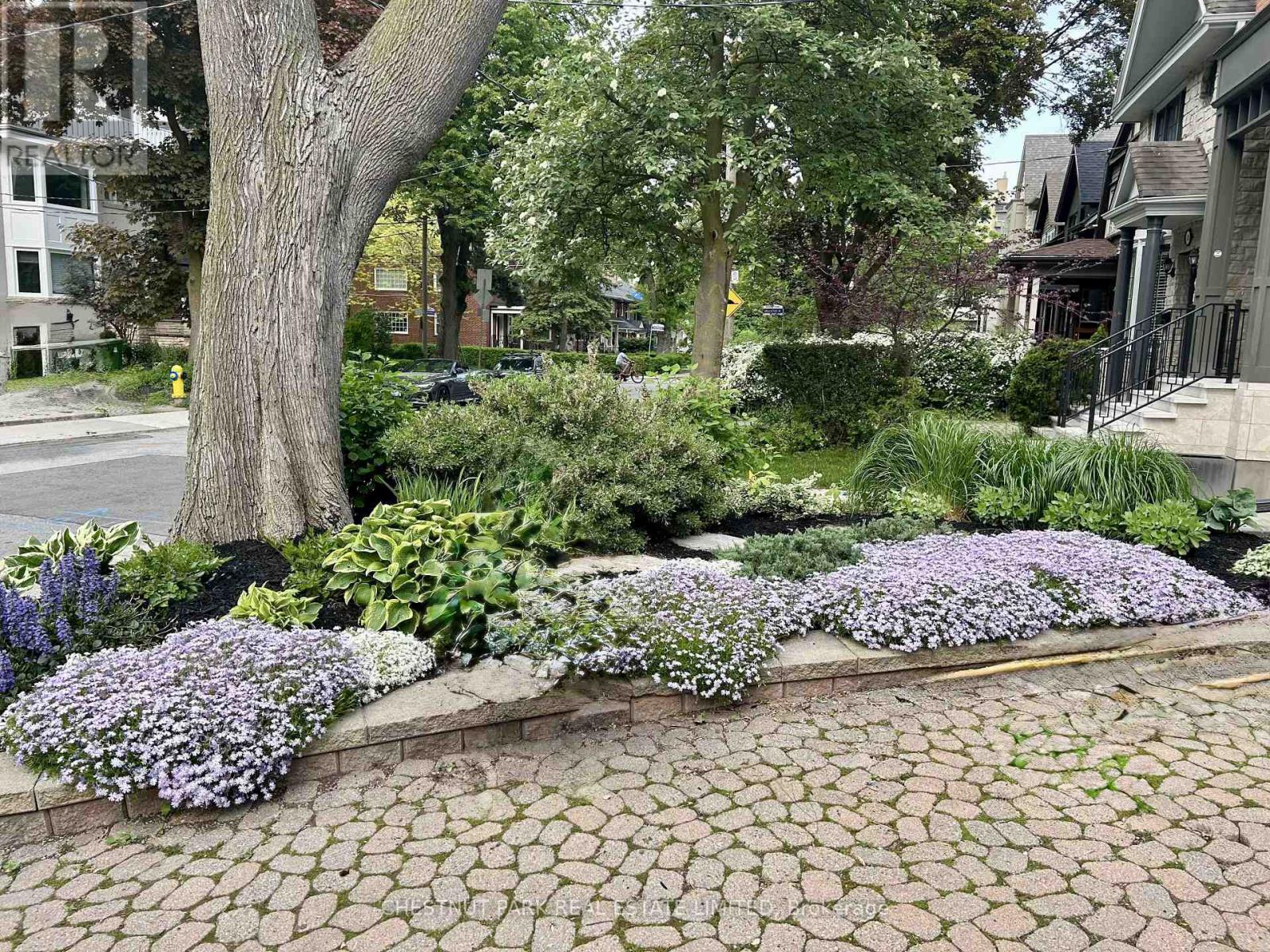 53 Gormley Avenue, Toronto, Ontario  M4V 1Y9 - Photo 3 - C13101638