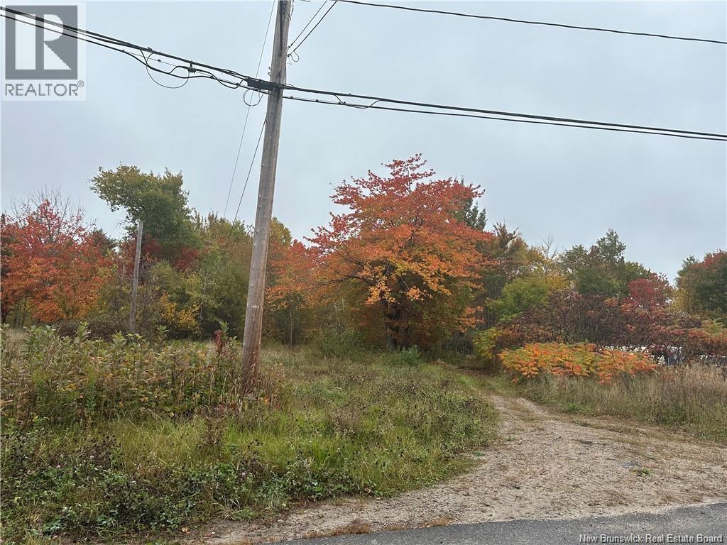 72 Old Harvey Road, Mcadam, New Brunswick  E6J 1B8 - Photo 1 - NB139187