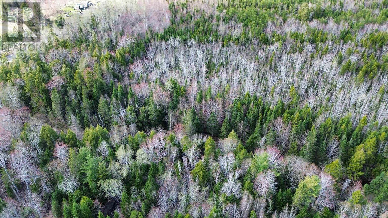 V/l 368 Highway, Wentworth, Nova Scotia  B0M 1Z0 - Photo 12 - 202609969