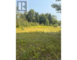 3995 BOULTER ROAD, Carlow/Mayo, Ontario