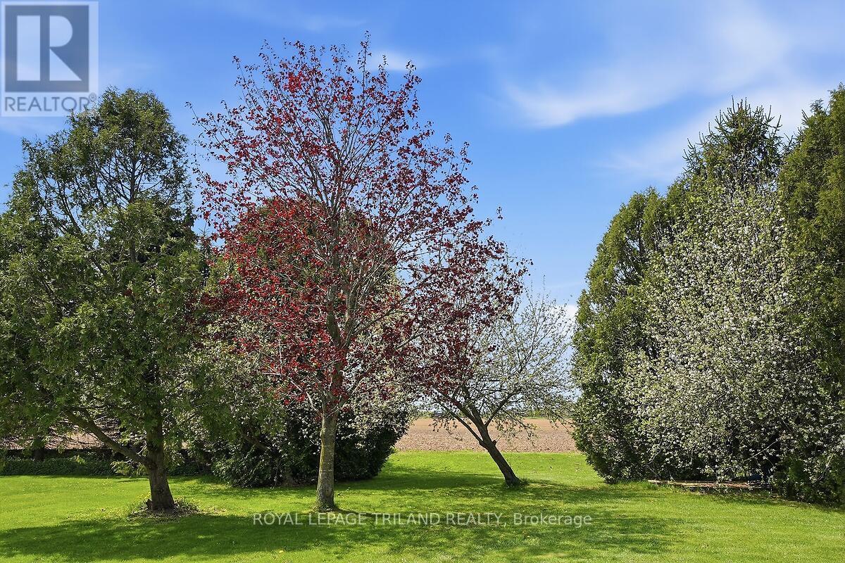 24671 Dodge Drive, Strathroy-Caradoc, Ontario  N7G 3B5 - Photo 22 - X13109446