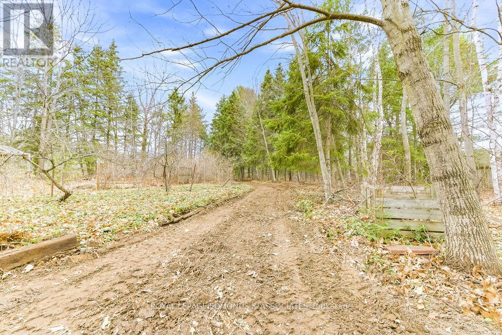 1411 Victoria Street, Petawawa, Ontario  K8H 3K4 - Photo 4 - X13109544