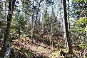 Lot 88-109 Bunker Hill Road, Wilsons Beach, New Brunswick  E5E 1M3 - Photo 3 - NB137756