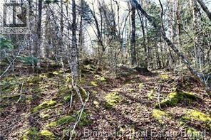 Lot 88-109 Bunker Hill Road, Wilsons Beach, New Brunswick  E5E 1M3 - Photo 4 - NB137756