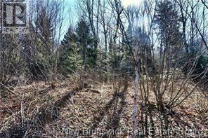 Lot 88-109 Bunker Hill Road, Wilsons Beach, New Brunswick  E5E 1M3 - Photo 9 - NB137756
