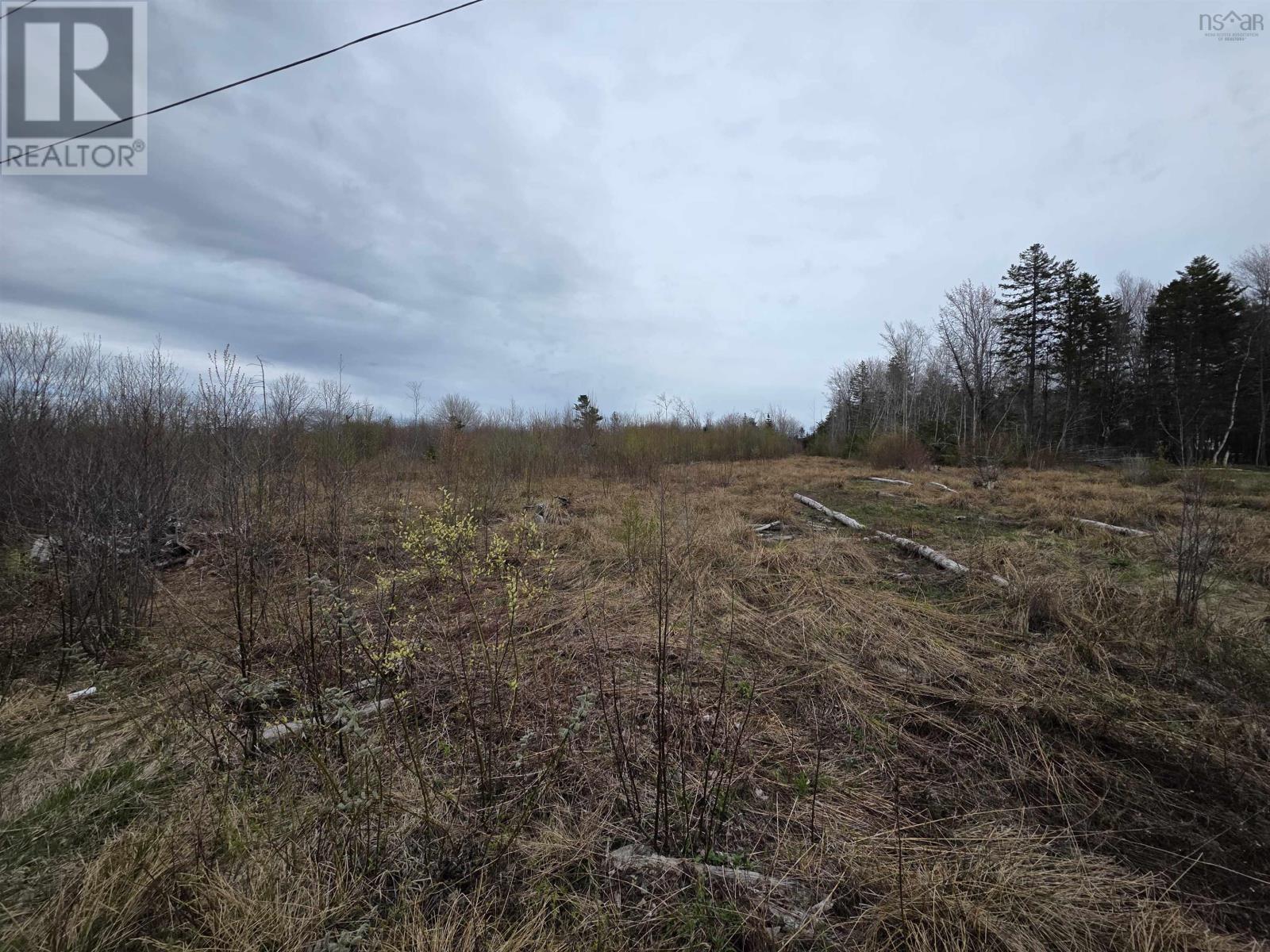 Ridge Road, North Range, Nova Scotia  B0W 1H0 - Photo 15 - 202610368