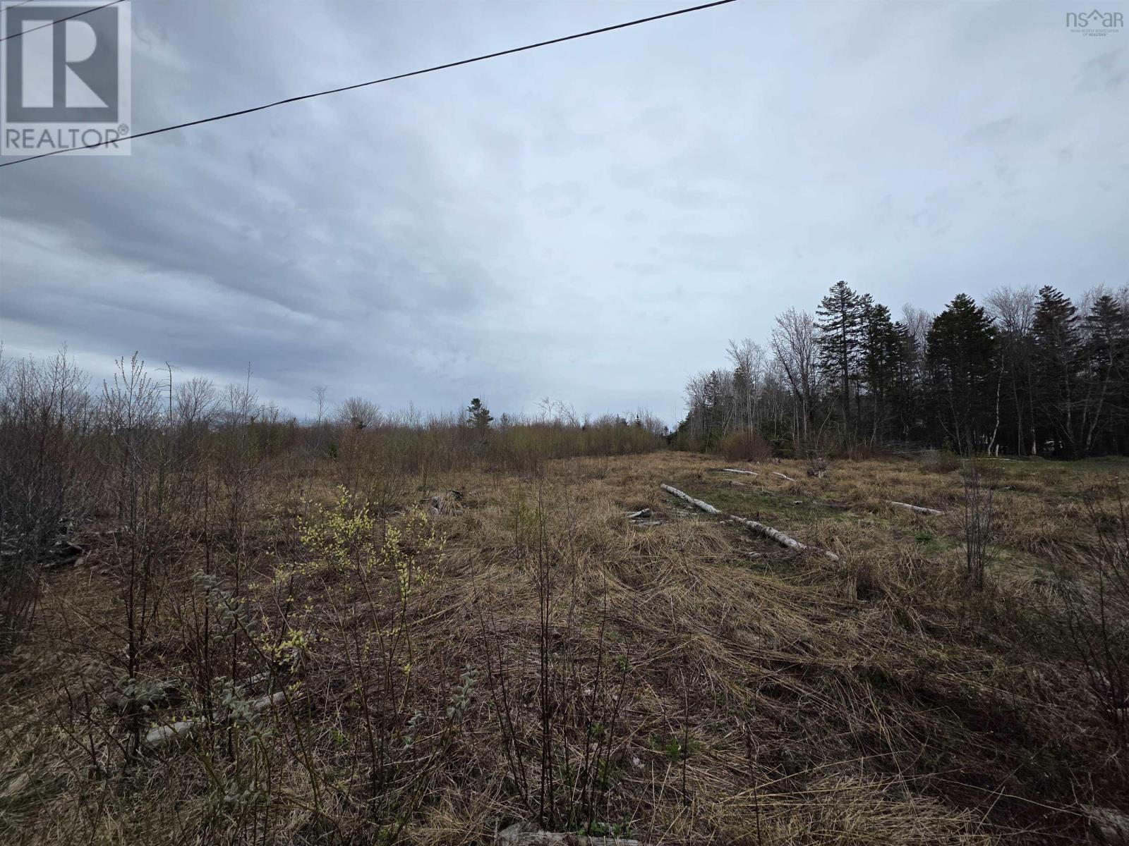 Ridge Road, North Range, Nova Scotia  B0W 1H0 - Photo 11 - 202610368