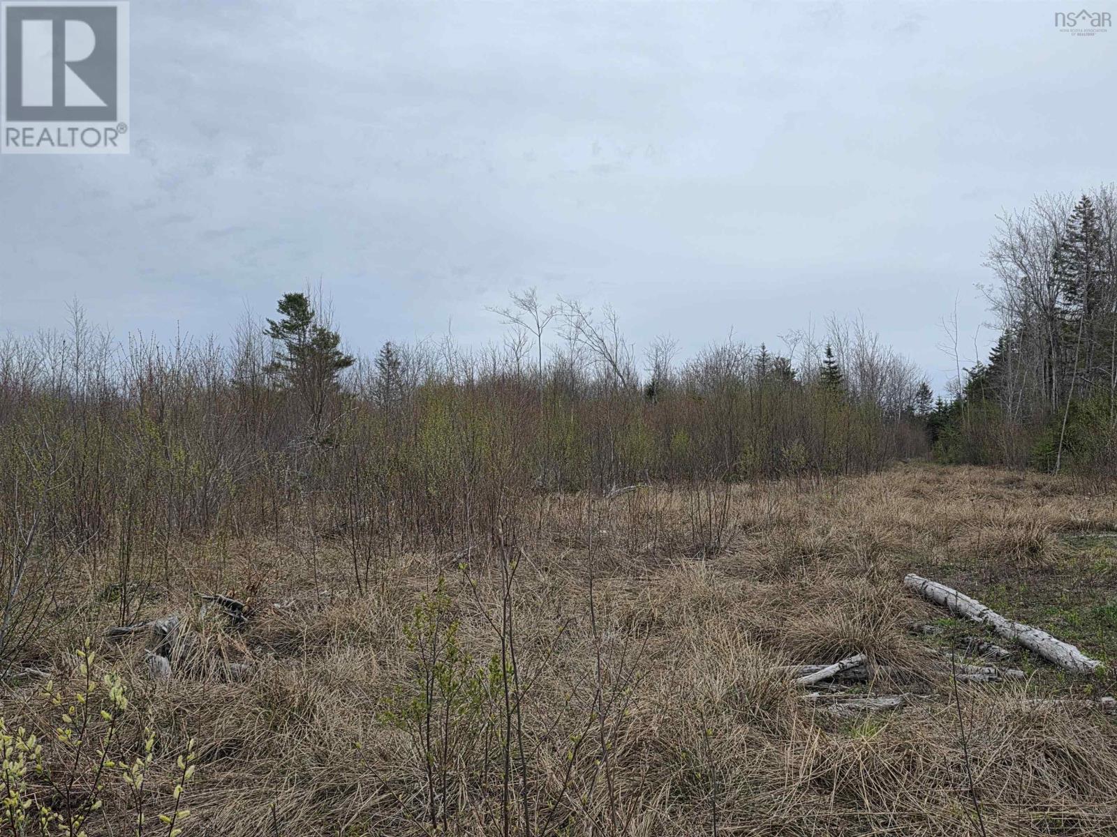Ridge Road, North Range, Nova Scotia  B0W 1H0 - Photo 13 - 202610368