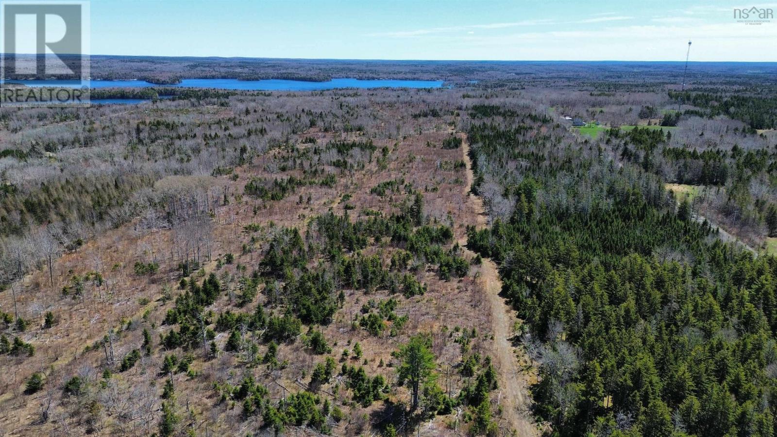 Ridge Road, North Range, Nova Scotia  B0W 1H0 - Photo 5 - 202610368