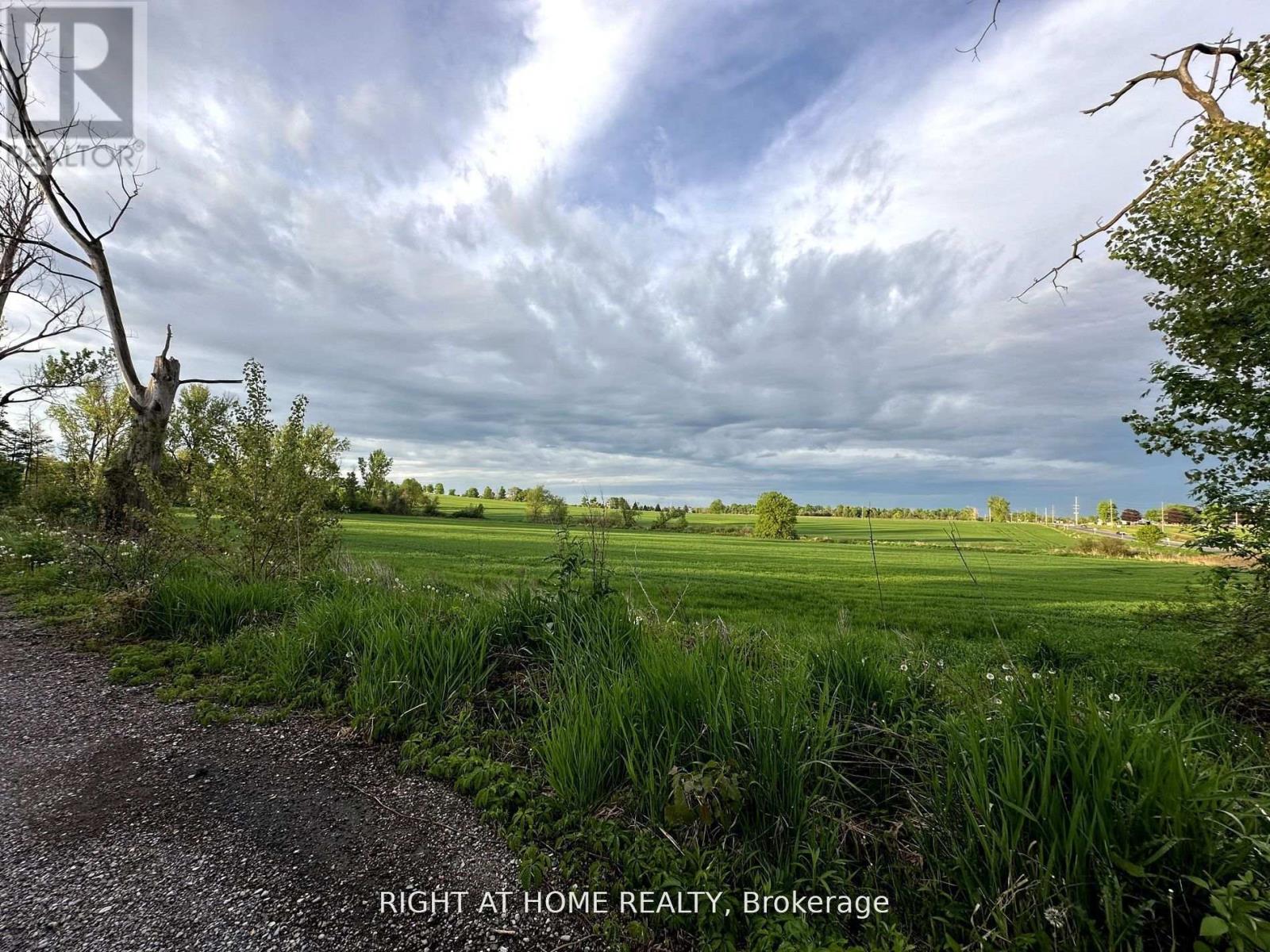 1756 Taunton Road, Clarington, Ontario  L0B 1J0 - Photo 13 - E13109720