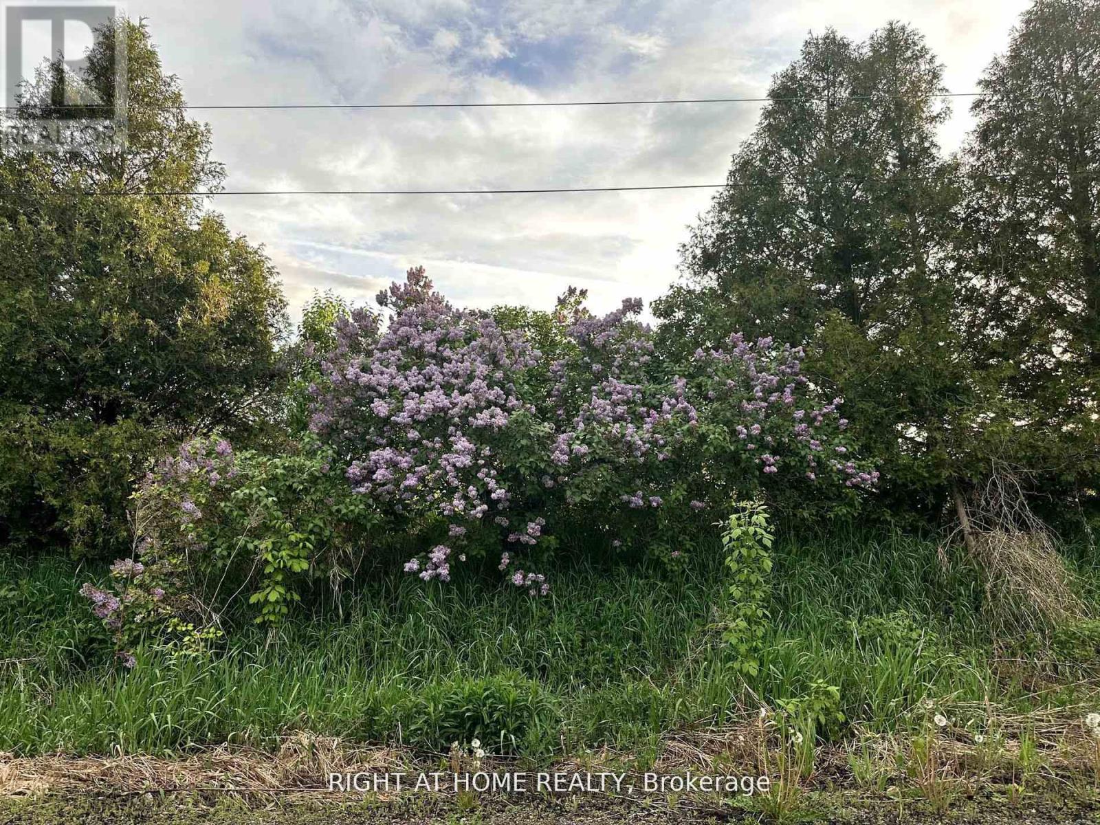 1756 Taunton Road, Clarington, Ontario  L0B 1J0 - Photo 14 - E13109720