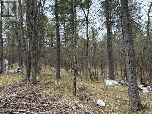 Part Lot 26 Highway 36 Road, Rideau Lakes, Ontario  K0G 1X0 - Photo 14 - X13104618