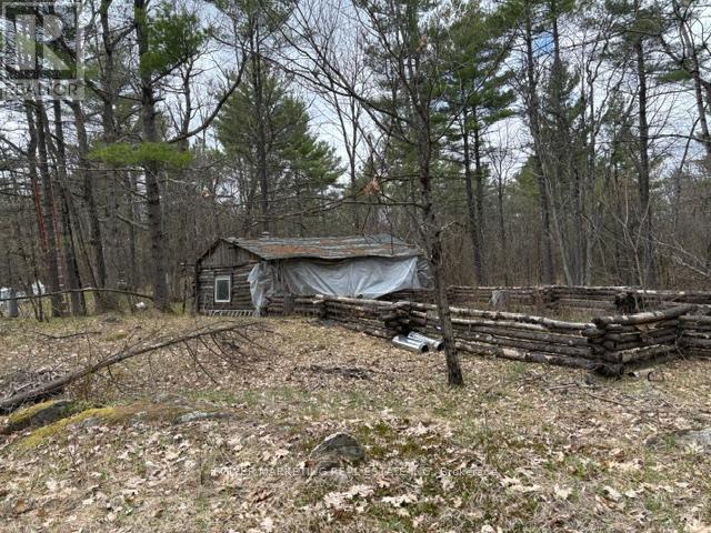 Part Lot 26 Highway 36 Road, Rideau Lakes, Ontario  K0G 1X0 - Photo 22 - X13104618
