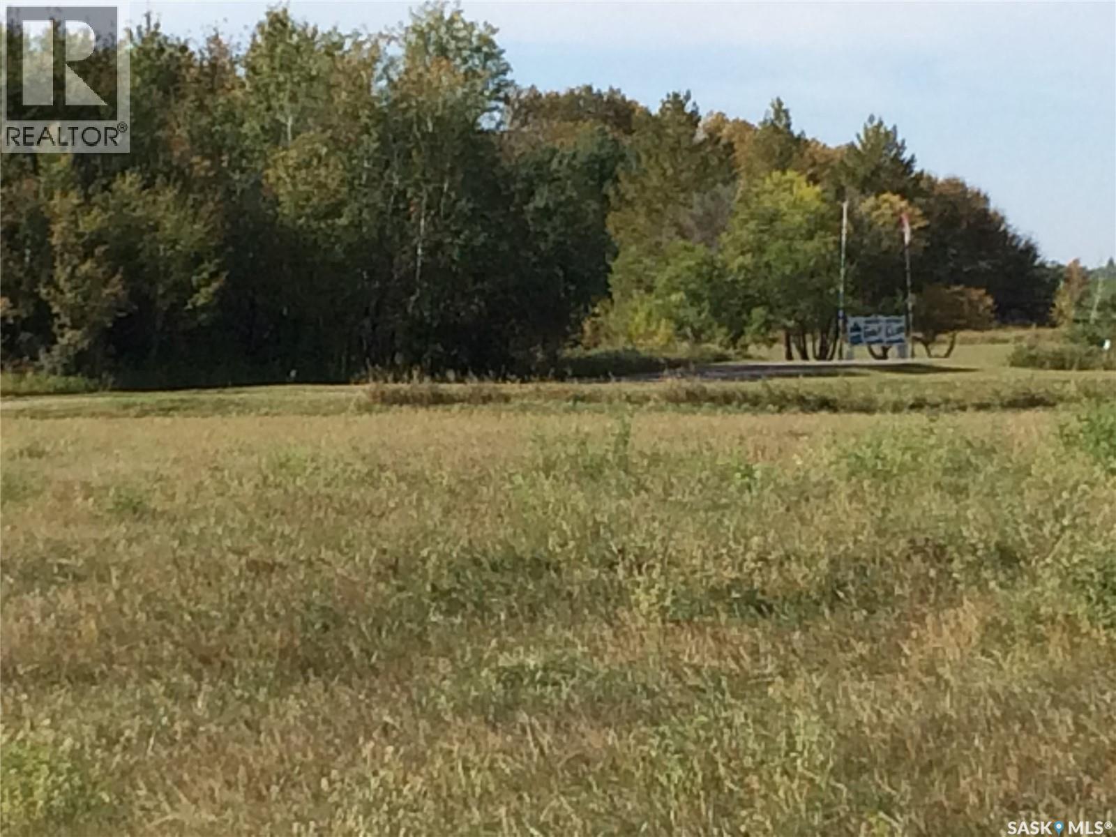 Weslyn Place, Mervin, Saskatchewan  S0M 1Y0 - Photo 1 - SK035536
