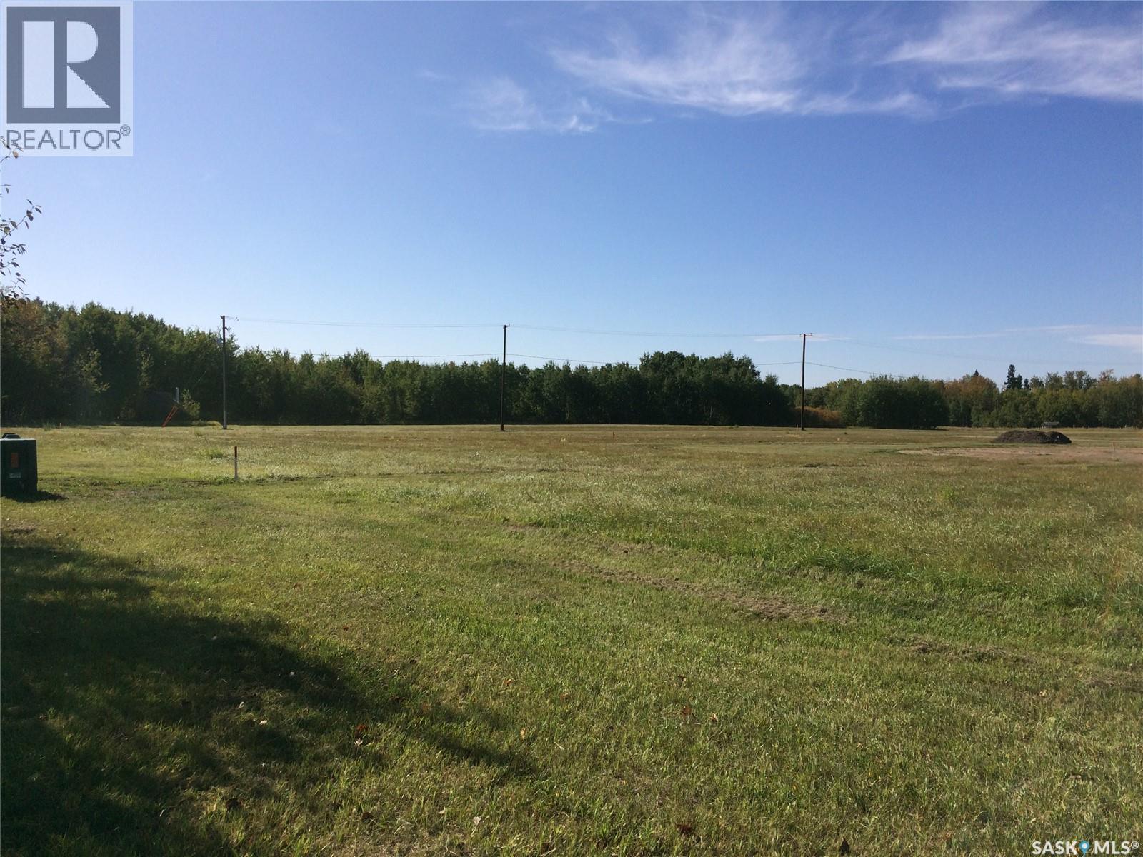 Weslyn Place, Mervin, Saskatchewan  S0M 1Y0 - Photo 3 - SK035536