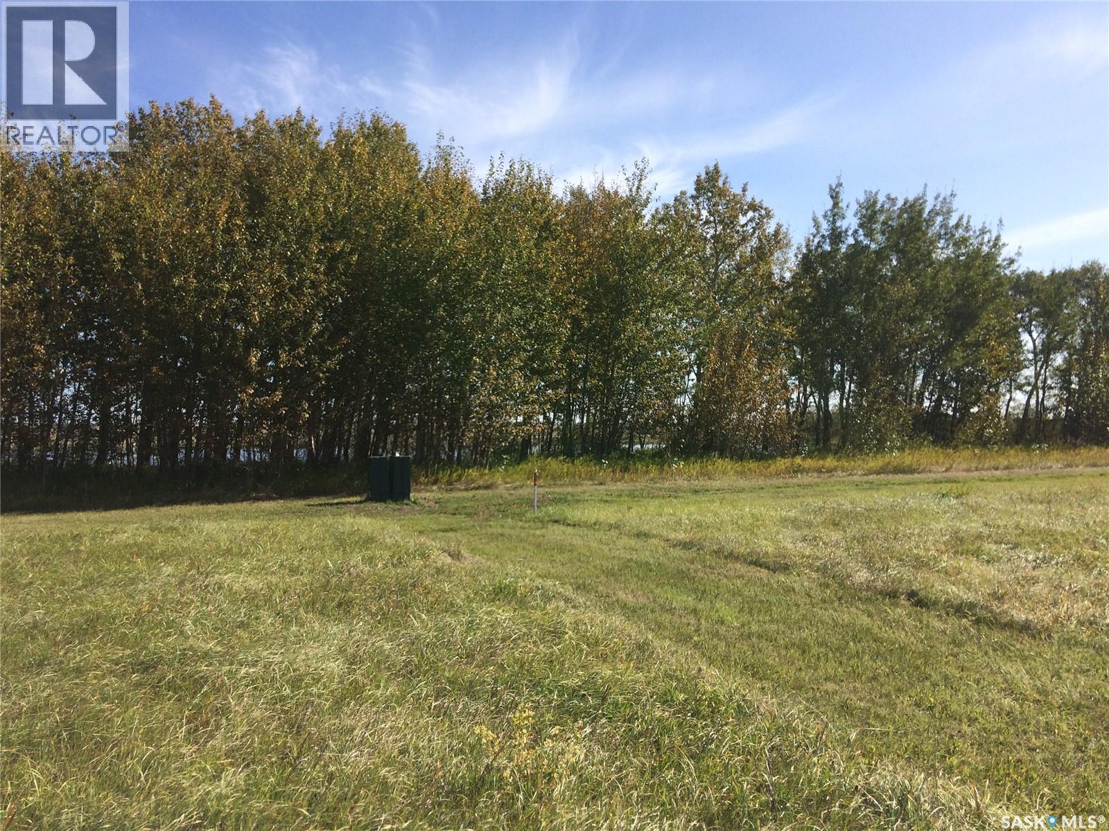 Weslyn Place, Mervin, Saskatchewan  S0M 1Y0 - Photo 4 - SK035536