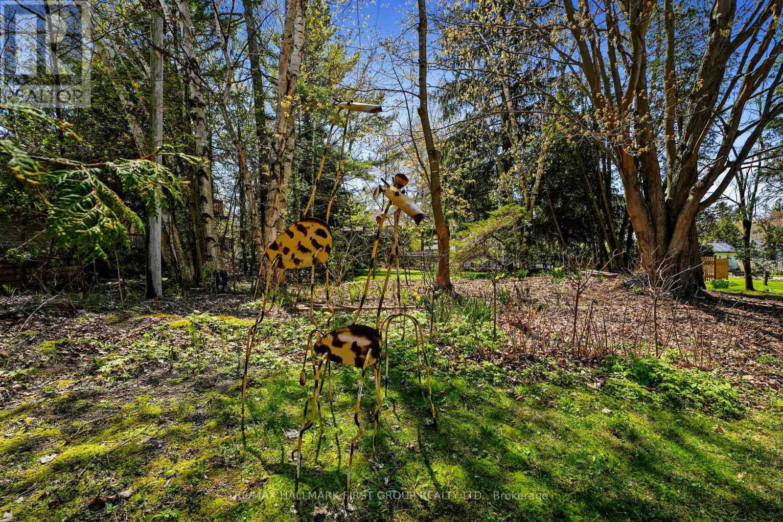 130 Lyle Street S, Alnwick/haldimand, Ontario  K0K 2G0 - Photo 5 - X12928932