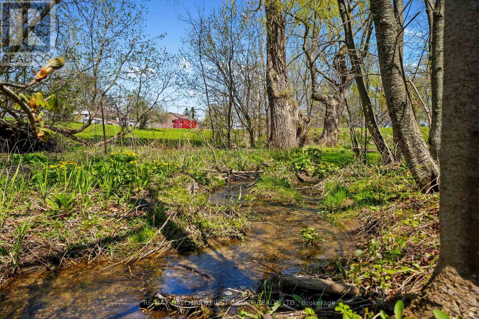 130 Lyle Street S, Alnwick/haldimand, Ontario  K0K 2G0 - Photo 42 - X12928932