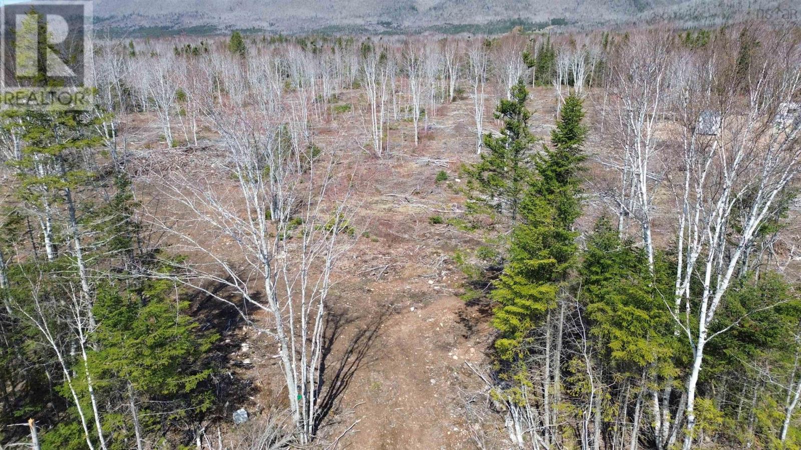 Lot 2025-2 East Big Intervale Road, Rivulet, Nova Scotia  B0E 2C0 - Photo 14 - 202610373