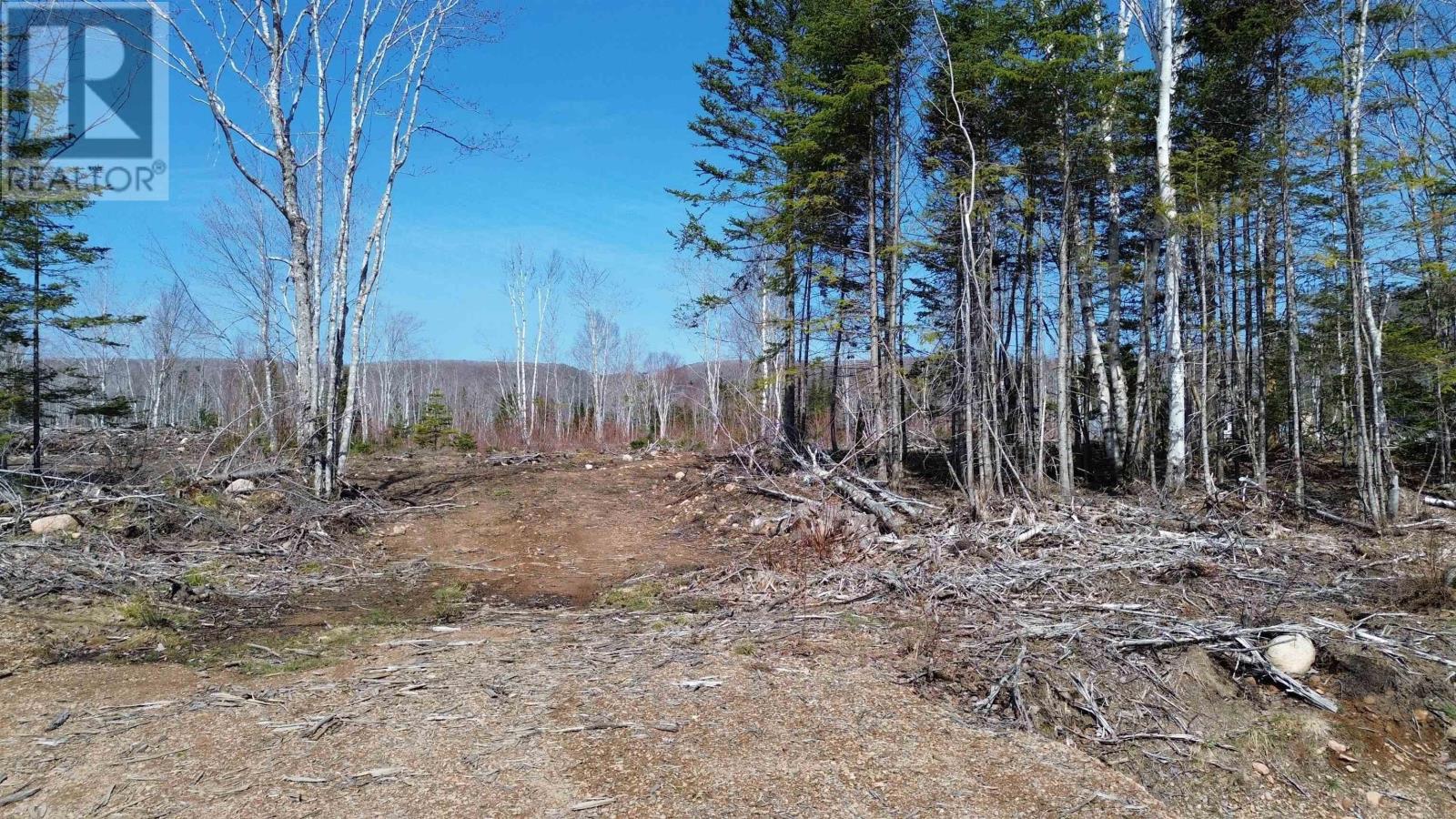 Lot 2025-2 East Big Intervale Road, Rivulet, Nova Scotia  B0E 2C0 - Photo 12 - 202610373