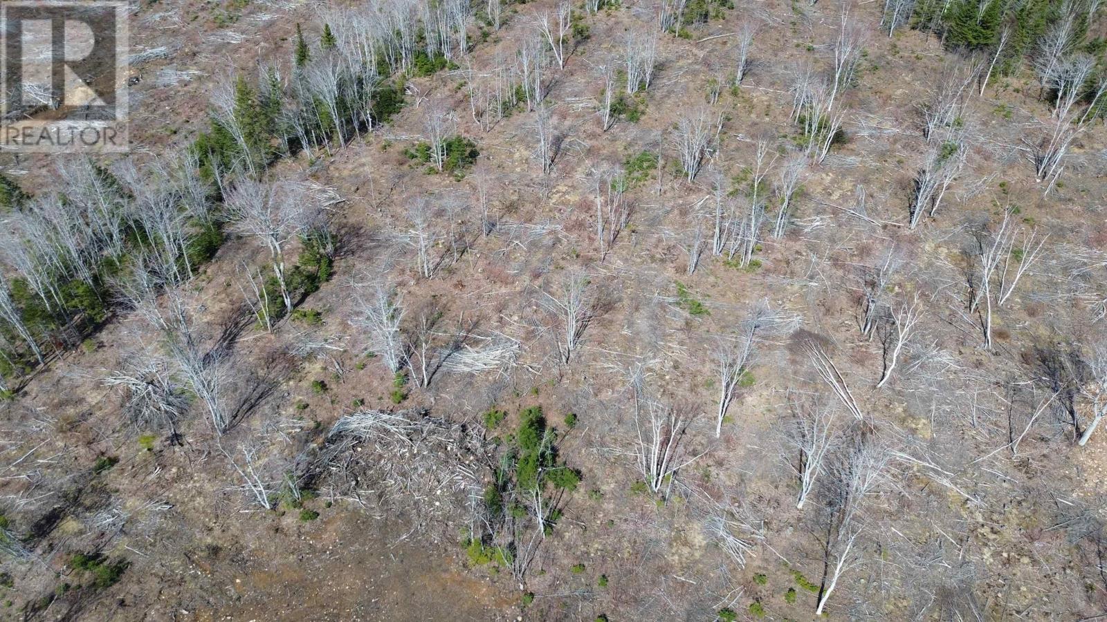 Lot 2025-2 East Big Intervale Road, Rivulet, Nova Scotia  B0E 2C0 - Photo 5 - 202610373