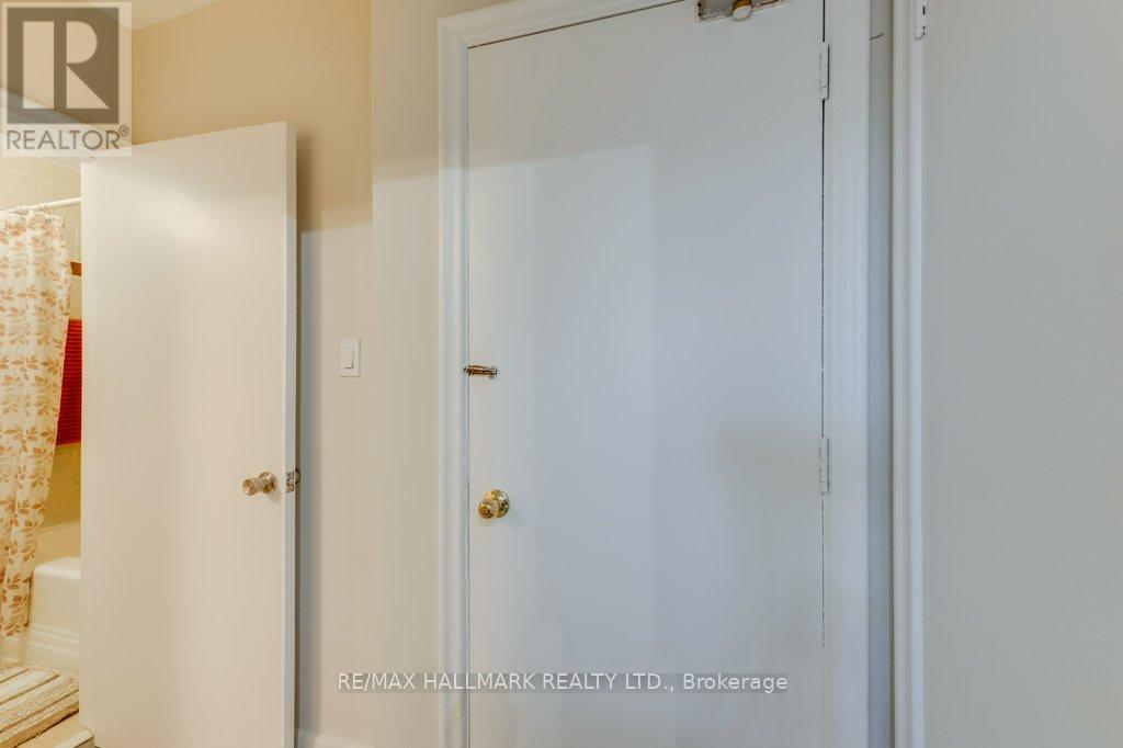 Lower - 225 Woodville Avenue, Toronto, Ontario  M4J 2R4 - Photo 13 - E13109946