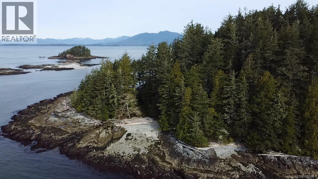 Lot 3 Helby Island, Port Alberni, British Columbia  V0R 1B0 - Photo 1 - 1028641