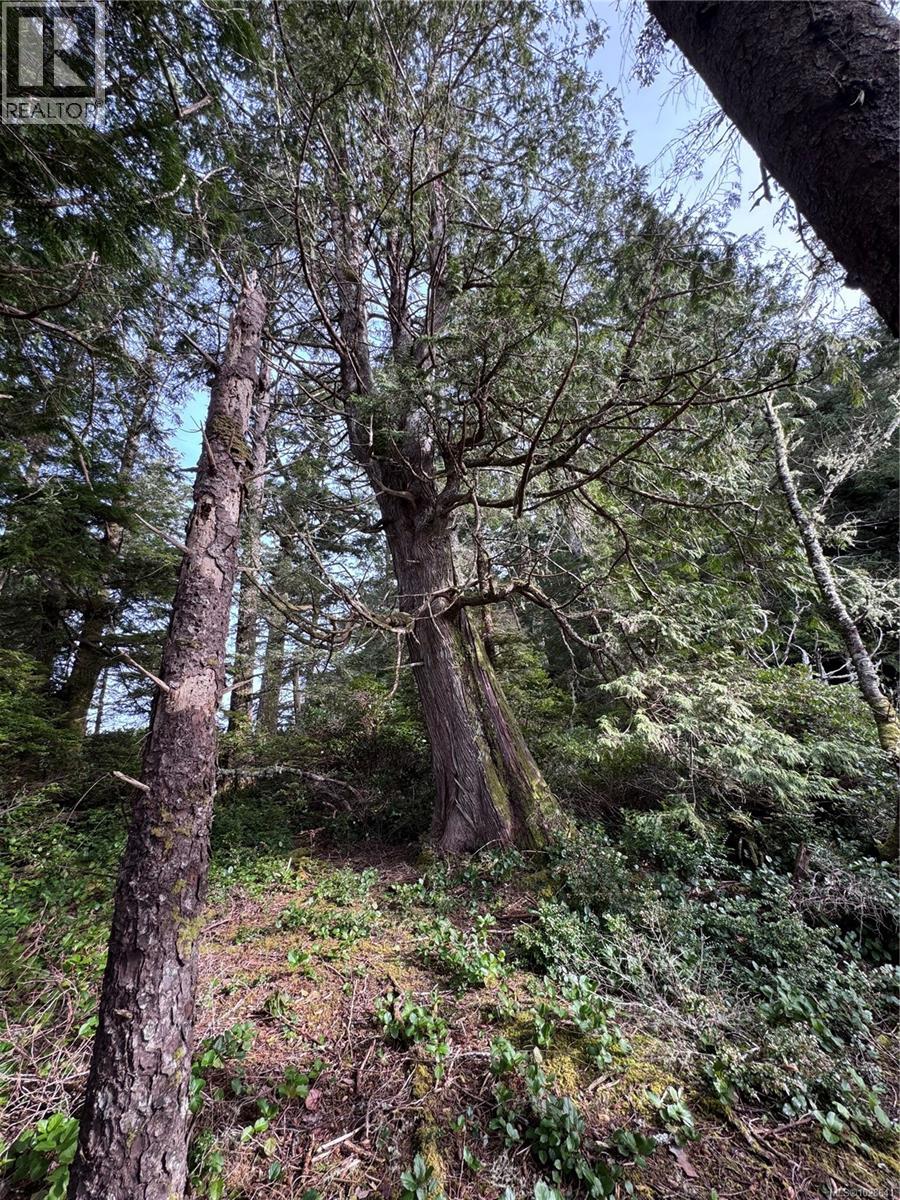 Lot 3 Helby Island, Port Alberni, British Columbia  V0R 1B0 - Photo 12 - 1028641