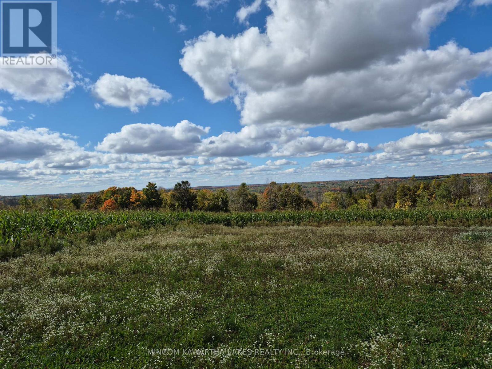 Pl 15 Base Line, Otonabee-South Monaghan, Ontario  K0L 2G0 - Photo 7 - X12978564