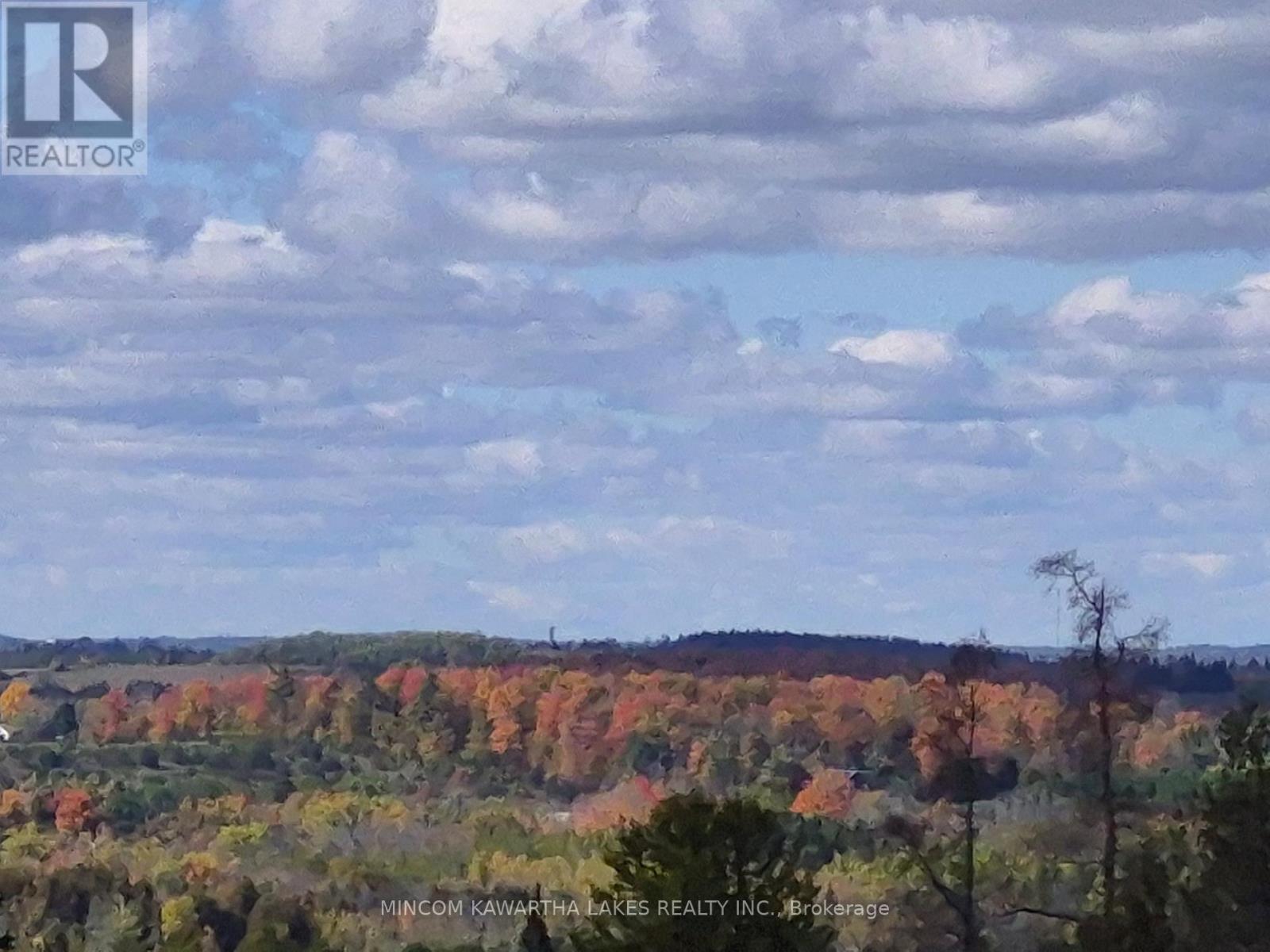 Pl 15 Base Line, Otonabee-South Monaghan, Ontario  K0L 2G0 - Photo 9 - X12978564