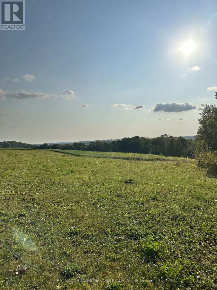 Pl 15 Base Line, Otonabee-South Monaghan, Ontario  K0L 2G0 - Photo 13 - X12978564