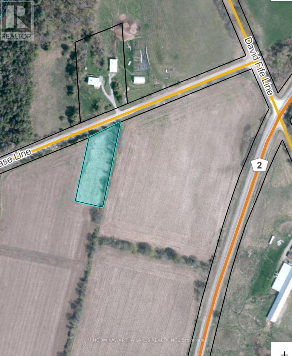Pl 15 Base Line, Otonabee-South Monaghan, Ontario  K0L 2G0 - Photo 15 - X12978564