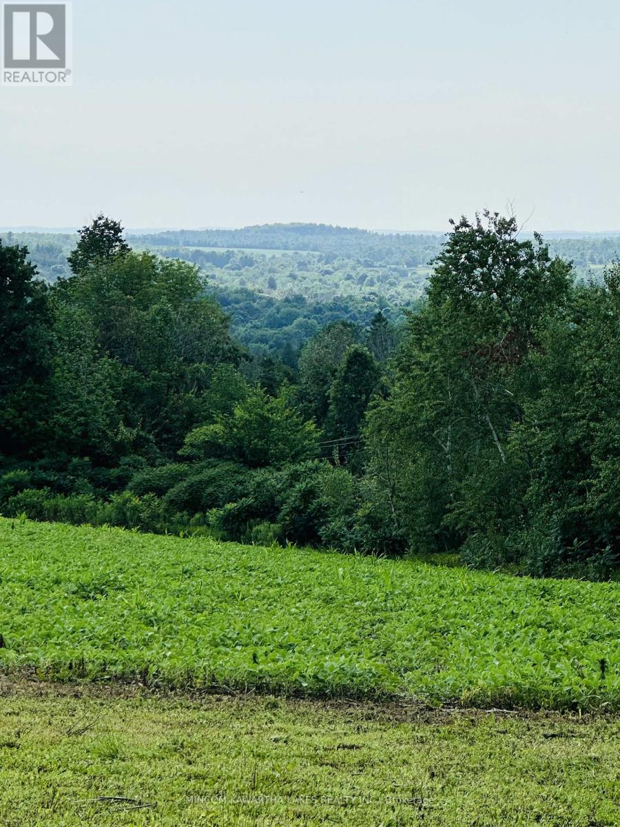 Pl 15 Base Line, Otonabee-South Monaghan, Ontario  K0L 2G0 - Photo 11 - X12978564