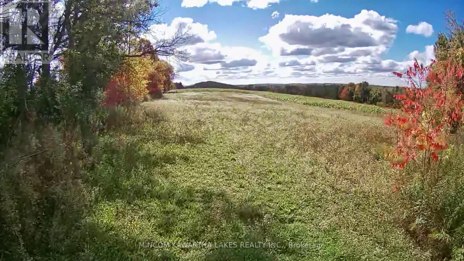 Pl 15 Base Line, Otonabee-South Monaghan, Ontario  K0L 2G0 - Photo 2 - X12978564