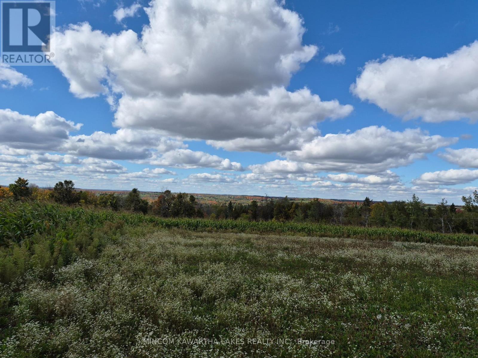 Pl 15 Base Line, Otonabee-South Monaghan, Ontario  K0L 2G0 - Photo 8 - X12978564