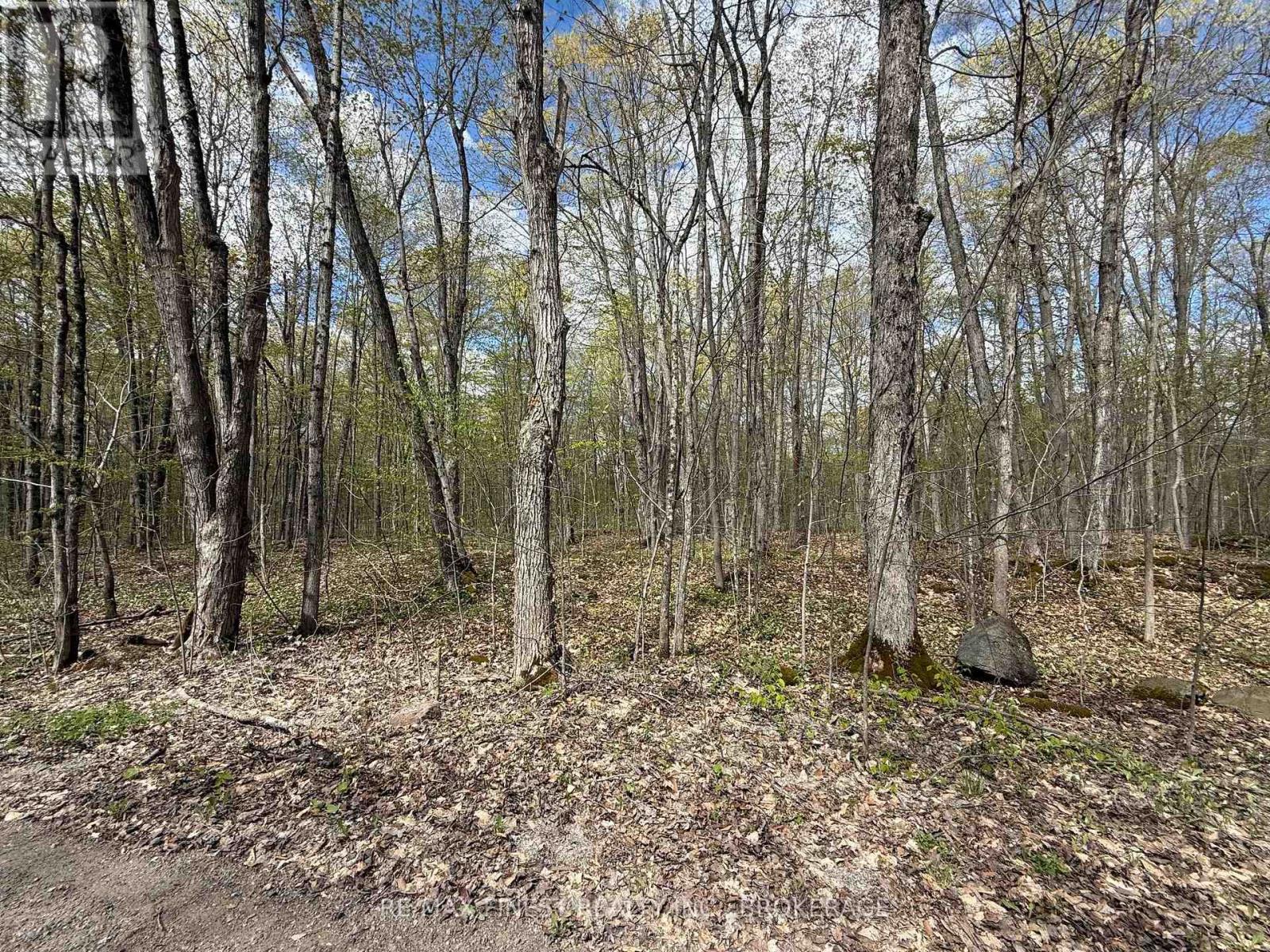 162 Black Rapids Road, Leeds And The Thousand Islands, Ontario  K0E 1N0 - Photo 2 - X13110300