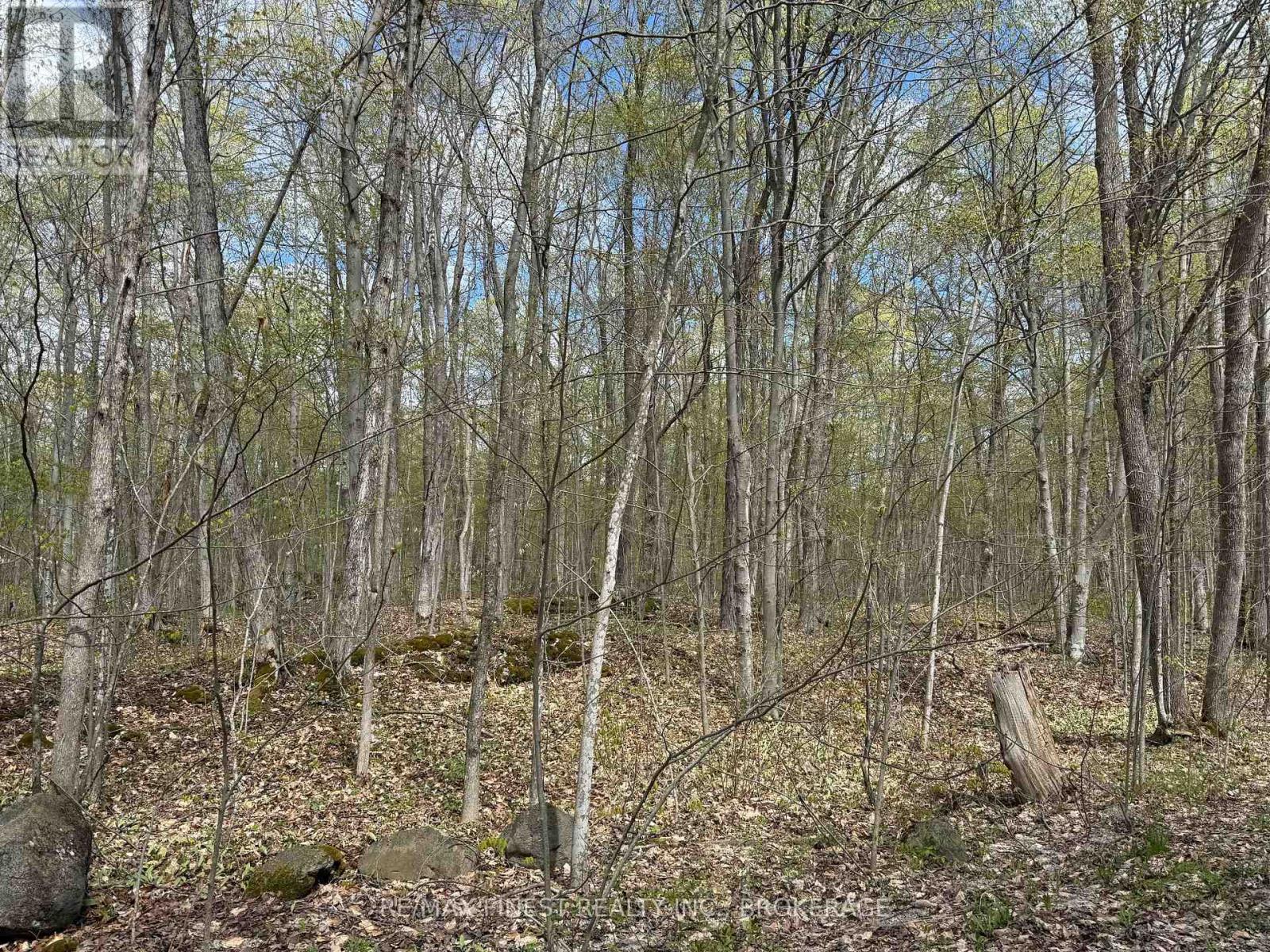 162 Black Rapids Road, Leeds And The Thousand Islands, Ontario  K0E 1N0 - Photo 3 - X13110300