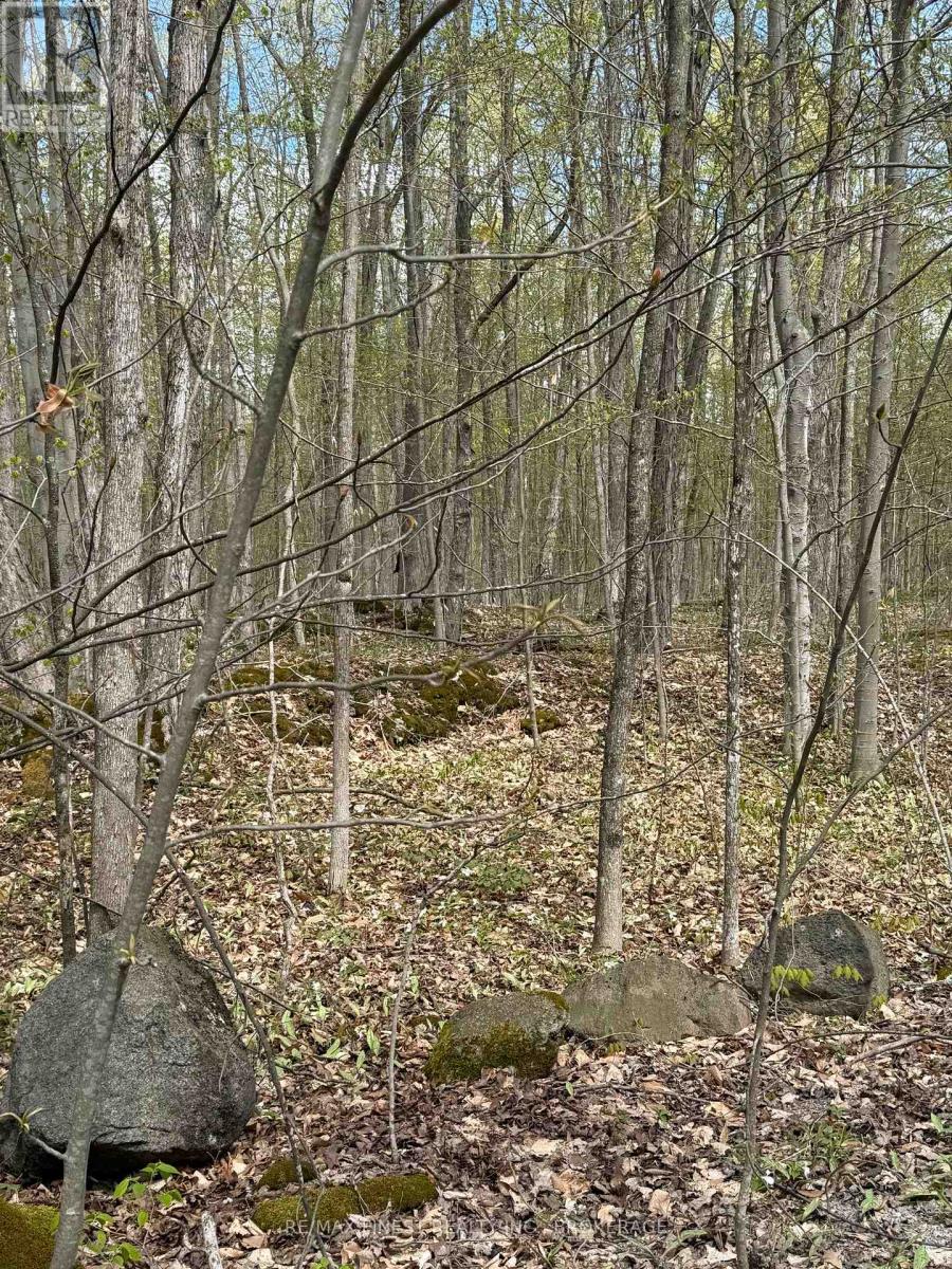 162 Black Rapids Road, Leeds And The Thousand Islands, Ontario  K0E 1N0 - Photo 6 - X13110300