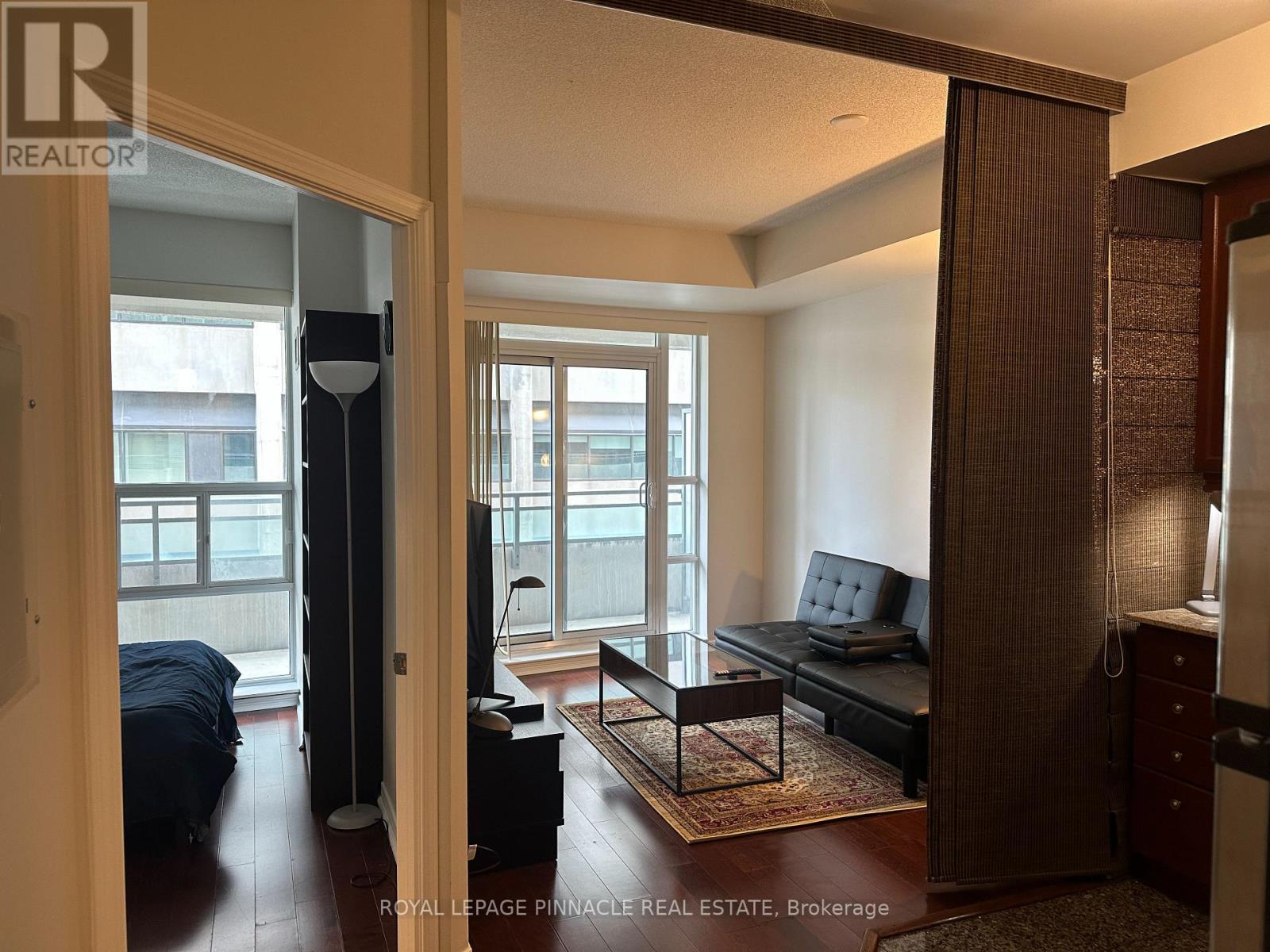 317 - 736 Spadina Avenue, Toronto, Ontario  M5S 2J6 - Photo 11 - C13045626
