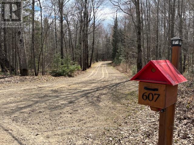 607 Farmers Line, Bonfield, Ontario  P0H 2E0 - Photo 2 - X13110396
