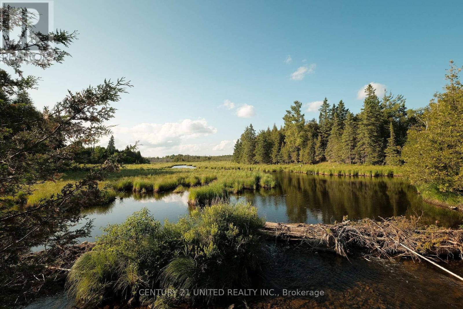 1480 Mill Line Road, Douro-Dummer, Ontario  K0L 2V0 - Photo 48 - X13110218
