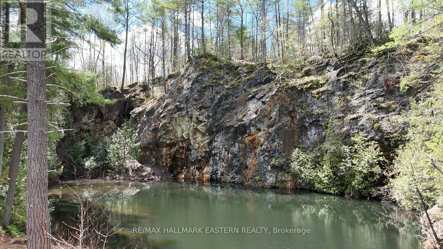 101 Fire Route 1, Havelock-Belmont-Methuen, Ontario  K0L 1Z0 - Photo 10 - X13110354