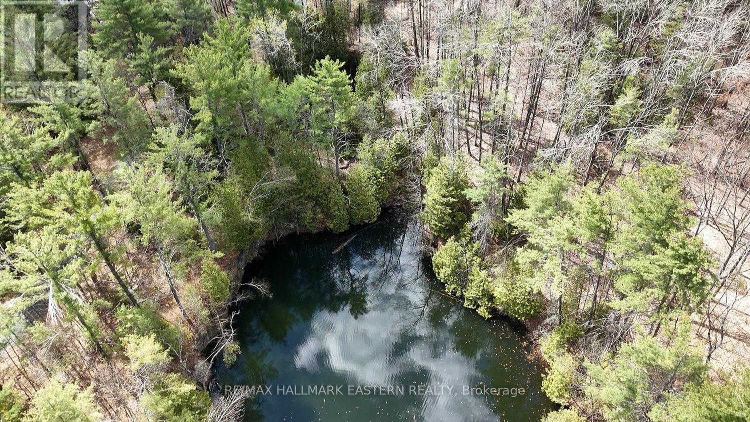 101 Fire Route 1, Havelock-Belmont-Methuen, Ontario  K0L 1Z0 - Photo 31 - X13110354