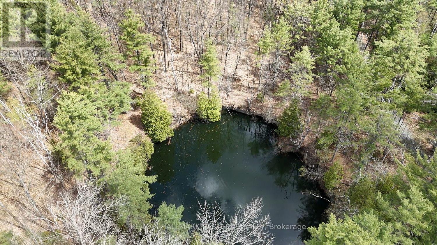 101 Fire Route 1, Havelock-Belmont-Methuen, Ontario  K0L 1Z0 - Photo 32 - X13110354