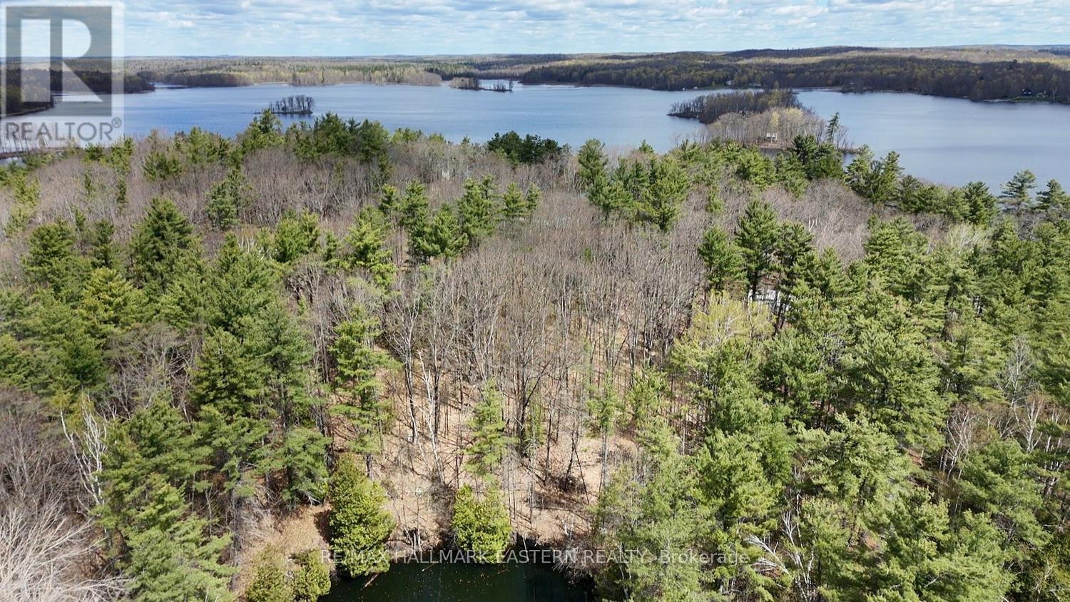 101 Fire Route 1, Havelock-Belmont-Methuen, Ontario  K0L 1Z0 - Photo 33 - X13110354