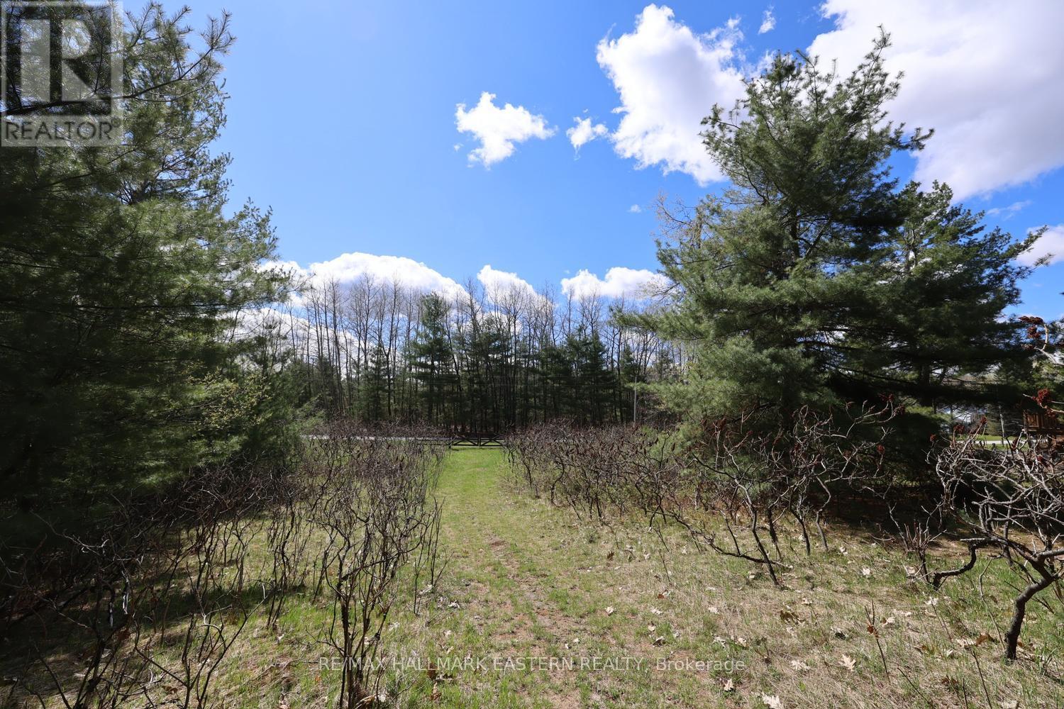 101 Fire Route 1, Havelock-Belmont-Methuen, Ontario  K0L 1Z0 - Photo 39 - X13110354