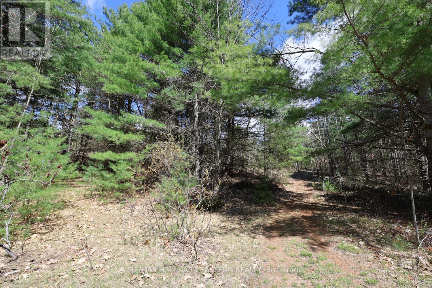 101 Fire Route 1, Havelock-Belmont-Methuen, Ontario  K0L 1Z0 - Photo 40 - X13110354