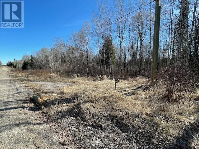 191 Lakeview Rd, Dryden, Ontario  P8N 2Y4 - Photo 2 - TB2600054