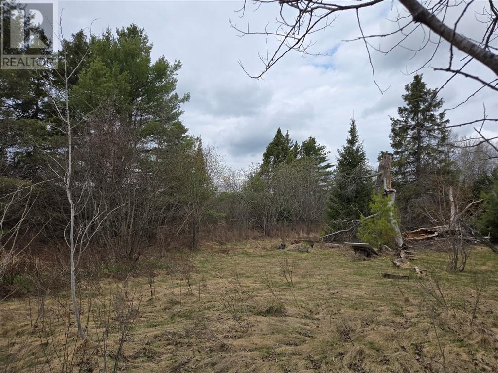 1483 Dokis Reserve Road, Monetville, Ontario  P0M 2K0 - Photo 2 - 2127589