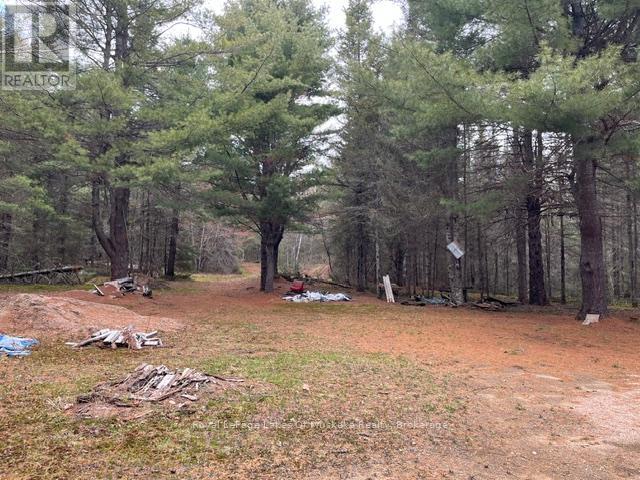 796 Scarlett Road, Machar, Ontario  P0A 1X0 - Photo 5 - X13110742